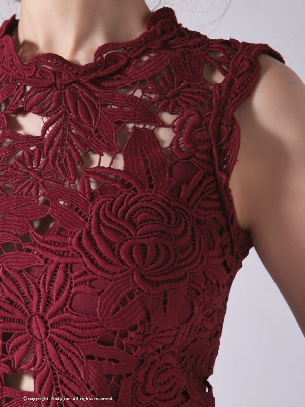 画像6: 【LIMITED SALE開催中！! 11月11日より順次発送予定】【ANDY/アンディ】ワンカラー/ フラワーレース/ ノースリーブ/ Aライン/ ミニドレス/ キャバドレス[OF05] (6)