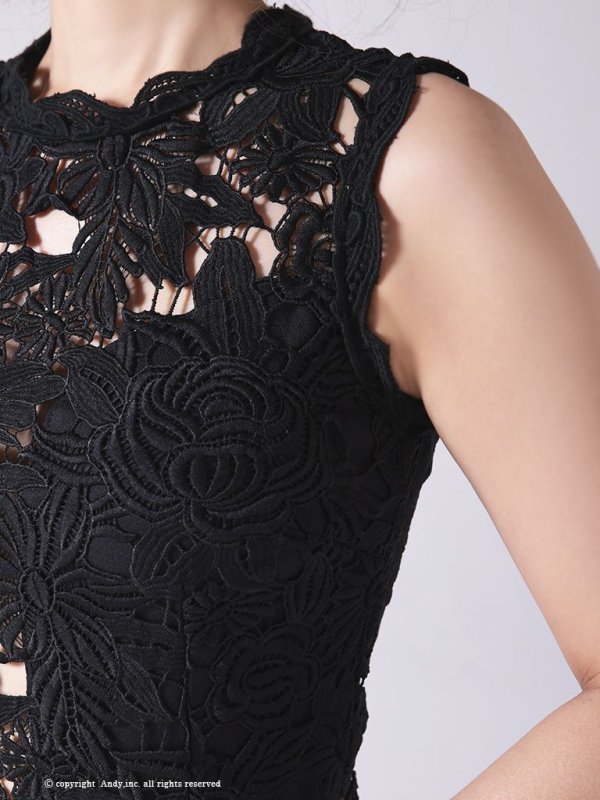 画像30: 【LIMITED SALE開催中！! 11月11日より順次発送予定】【ANDY/アンディ】ワンカラー/ フラワーレース/ ノースリーブ/ Aライン/ ミニドレス/ キャバドレス[OF05] (30)