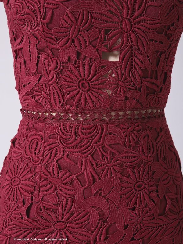 画像7: 【LIMITED SALE開催中！! 11月11日より順次発送予定】【ANDY/アンディ】ワンカラー/ フラワーレース/ ノースリーブ/ Aライン/ ミニドレス/ キャバドレス[OF05] (7)