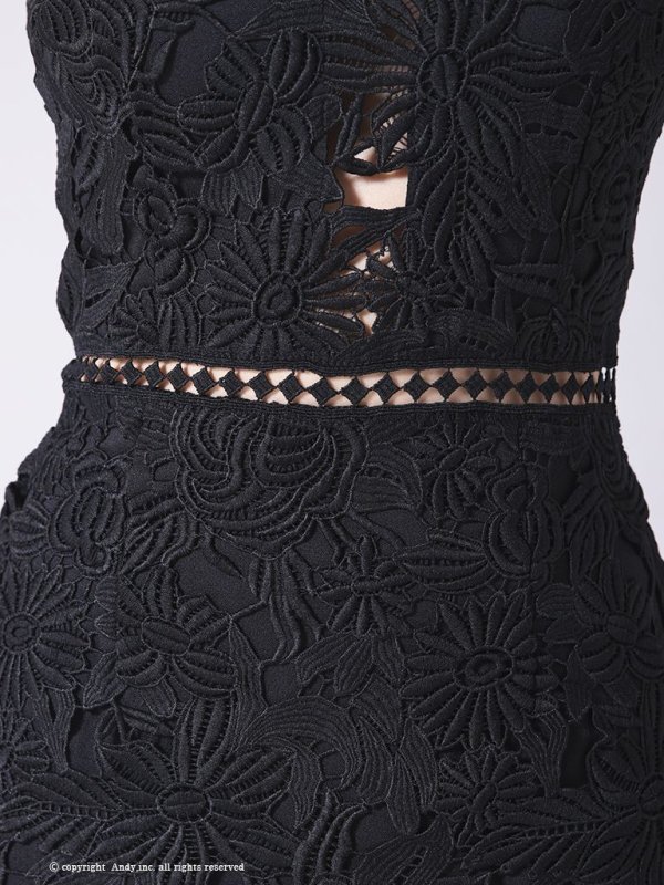 画像31: 【LIMITED SALE開催中！! 11月11日より順次発送予定】【ANDY/アンディ】ワンカラー/ フラワーレース/ ノースリーブ/ Aライン/ ミニドレス/ キャバドレス[OF05] (31)