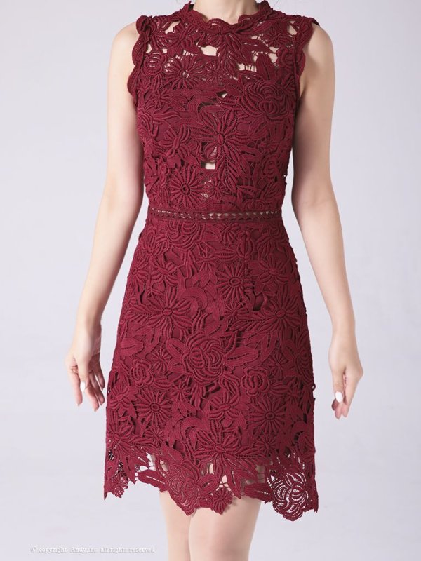 画像5: 【LIMITED SALE開催中！! 11月11日より順次発送予定】【ANDY/アンディ】ワンカラー/ フラワーレース/ ノースリーブ/ Aライン/ ミニドレス/ キャバドレス[OF05] (5)