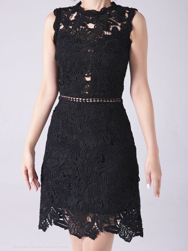画像29: 【LIMITED SALE開催中！! 11月11日より順次発送予定】【ANDY/アンディ】ワンカラー/ フラワーレース/ ノースリーブ/ Aライン/ ミニドレス/ キャバドレス[OF05] (29)