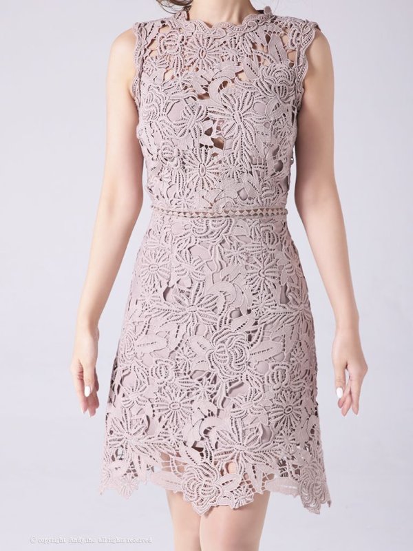 画像21: 【LIMITED SALE開催中！! 11月11日より順次発送予定】【ANDY/アンディ】ワンカラー/ フラワーレース/ ノースリーブ/ Aライン/ ミニドレス/ キャバドレス[OF05] (21)