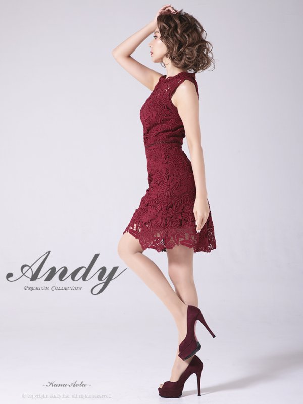 画像3: 【LIMITED SALE開催中！! 11月11日より順次発送予定】【ANDY/アンディ】ワンカラー/ フラワーレース/ ノースリーブ/ Aライン/ ミニドレス/ キャバドレス[OF05] (3)