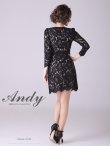 画像4: 【Andy ANDY Fashion Press 14 COLLECTION 03】 フラワーレース / ウエストリボン/ 長袖/ 袖あり/ Aライン/ ミニドレス/ キャバドレス[OF05] (4)