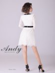 画像12: 【Andy ANDY Fashion Press 14 COLLECTION 03】 フラワーレース / ウエストリボン/ 長袖/ 袖あり/ Aライン/ ミニドレス/ キャバドレス[OF05] (12)