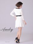 画像4: 【Andy ANDY Fashion Press 14 COLLECTION 03】 フラワーレース / ウエストリボン/ 長袖/ 袖あり/ Aライン/ ミニドレス/ キャバドレス[OF05] (4)