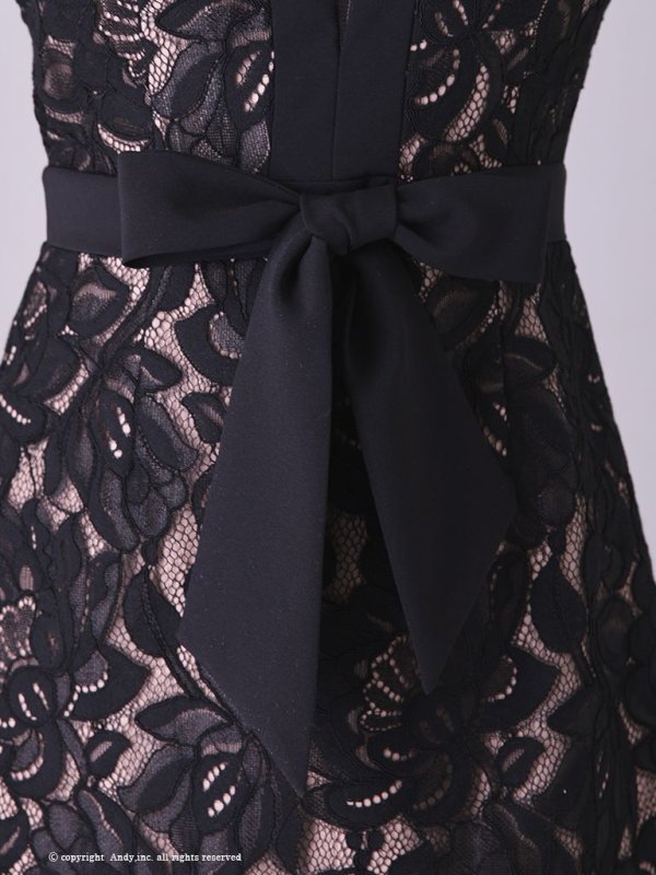 画像23: 【Andy ANDY Fashion Press 14 COLLECTION 03】 フラワーレース / ウエストリボン/ 長袖/ 袖あり/ Aライン/ ミニドレス/ キャバドレス[OF05] (23)