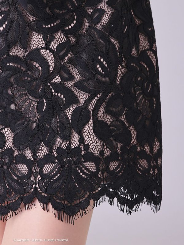 画像25: 【Andy ANDY Fashion Press 14 COLLECTION 03】 フラワーレース / ウエストリボン/ 長袖/ 袖あり/ Aライン/ ミニドレス/ キャバドレス[OF05] (25)