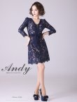 画像3: 【Andy ANDY Fashion Press 14 COLLECTION 03】 フラワーレース / ウエストリボン/ 長袖/ 袖あり/ Aライン/ ミニドレス/ キャバドレス[OF05] (3)