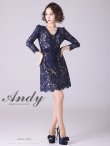 画像19: 【Andy ANDY Fashion Press 14 COLLECTION 03】 フラワーレース / ウエストリボン/ 長袖/ 袖あり/ Aライン/ ミニドレス/ キャバドレス[OF05] (19)