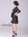 画像20: 【Andy ANDY Fashion Press 14 COLLECTION 03】 フラワーレース / ウエストリボン/ 長袖/ 袖あり/ Aライン/ ミニドレス/ キャバドレス[OF05] (20)