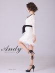 画像3: 【Andy ANDY Fashion Press 14 COLLECTION 03】 フラワーレース / ウエストリボン/ 長袖/ 袖あり/ Aライン/ ミニドレス/ キャバドレス[OF05] (3)