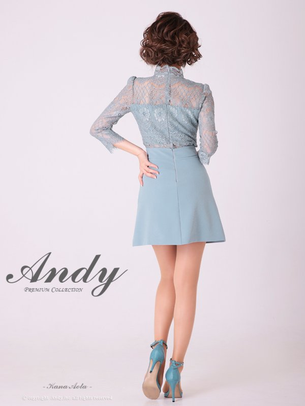 画像4: 【ANDY/アンディ】フラワーレース/ ハイネック/ 切替デザイン/ 袖あり/ 長袖/ Aライン/ ミニドレス/ キャバドレス[OF05] (4)