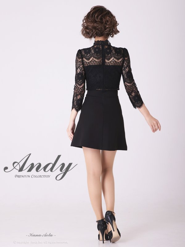 画像13: 【ANDY/アンディ】フラワーレース/ ハイネック/ 切替デザイン/ 袖あり/ 長袖/ Aライン/ ミニドレス/ キャバドレス[OF05] (13)