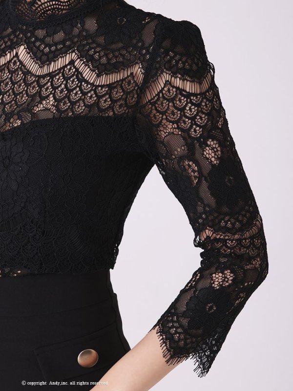 画像15: 【ANDY/アンディ】フラワーレース/ ハイネック/ 切替デザイン/ 袖あり/ 長袖/ Aライン/ ミニドレス/ キャバドレス[OF05] (15)
