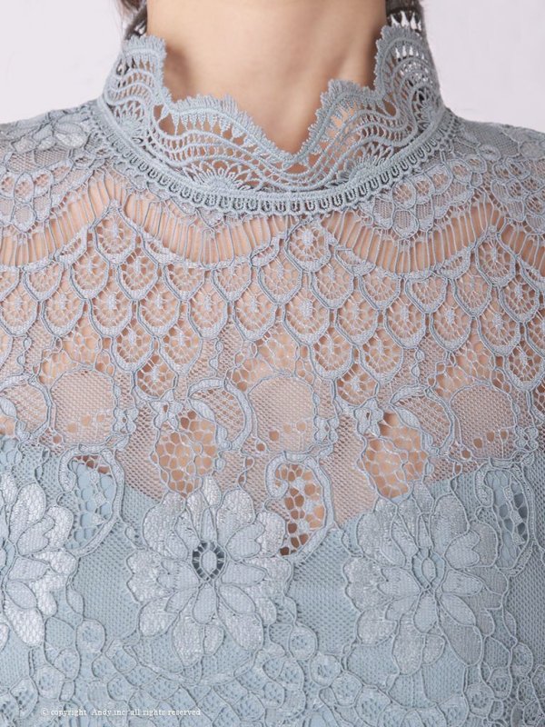 画像5: 【ANDY/アンディ】フラワーレース/ ハイネック/ 切替デザイン/ 袖あり/ 長袖/ Aライン/ ミニドレス/ キャバドレス[OF05] (5)