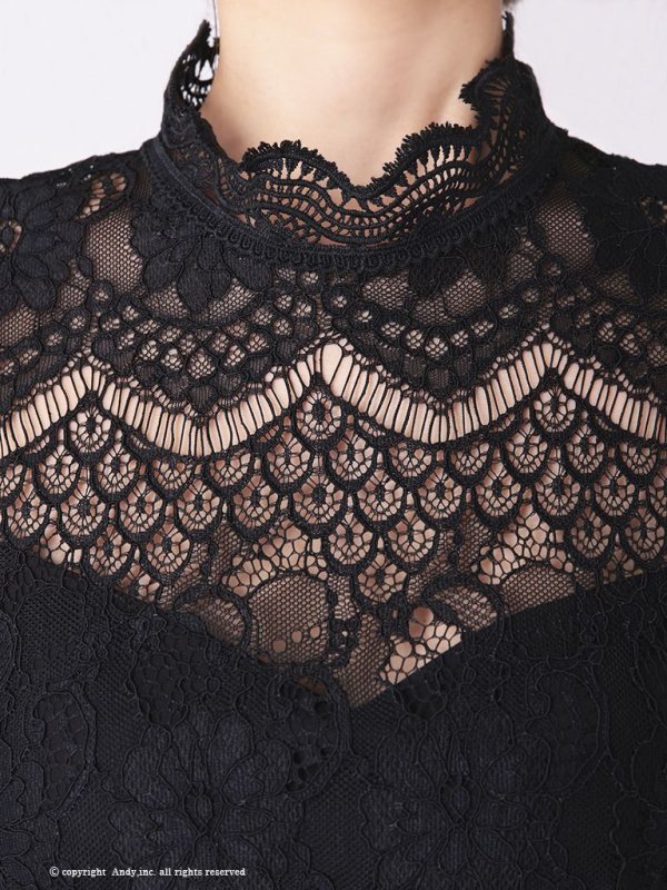 画像14: 【ANDY/アンディ】フラワーレース/ ハイネック/ 切替デザイン/ 袖あり/ 長袖/ Aライン/ ミニドレス/ キャバドレス[OF05] (14)