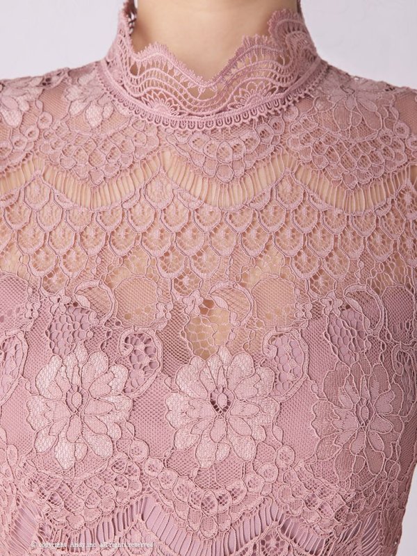 画像23: 【ANDY/アンディ】フラワーレース/ ハイネック/ 切替デザイン/ 袖あり/ 長袖/ Aライン/ ミニドレス/ キャバドレス[OF05] (23)