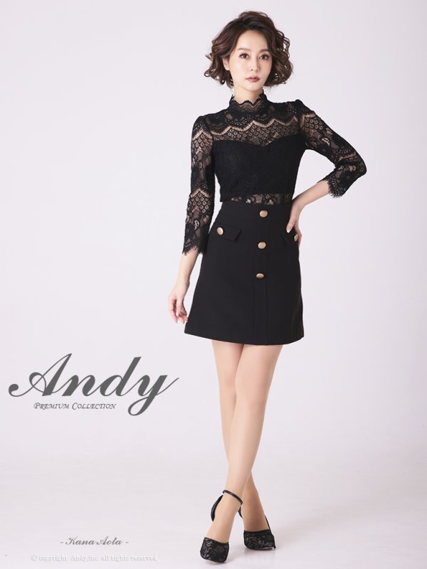 画像11: 【ANDY/アンディ】フラワーレース/ ハイネック/ 切替デザイン/ 袖あり/ 長袖/ Aライン/ ミニドレス/ キャバドレス[OF05] (11)