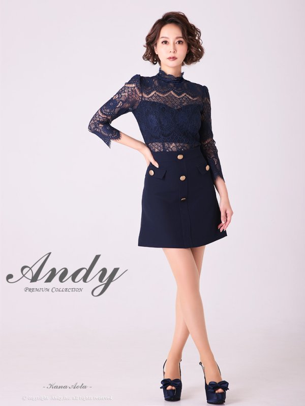 画像29: 【ANDY/アンディ】フラワーレース/ ハイネック/ 切替デザイン/ 袖あり/ 長袖/ Aライン/ ミニドレス/ キャバドレス[OF05] (29)