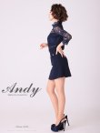 画像31: 【ANDY/アンディ】フラワーレース/ ハイネック/ 切替デザイン/ 袖あり/ 長袖/ Aライン/ ミニドレス/ キャバドレス[OF05] (31)