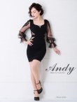 画像11: 【ANDY Fashion Press vol.15 掲載商品】シアー/ 長袖/ 袖あり/ カットアウト/ シアー/ タイト/ ミニドレス/ キャバドレス[OF05] (11)