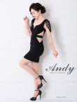 画像3: 【ANDY Fashion Press vol.15 掲載商品】シアー/ 長袖/ 袖あり/ カットアウト/ シアー/ タイト/ ミニドレス/ キャバドレス[OF05] (3)