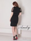 画像4: 【Andy ANDY Fashion Press 14 COLLECTION 03】 ドット / シアー / パフスリーブ / 袖あり/ タイト / ミニドレス / キャバドレス[OF05] (4)