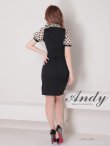 画像29: 【Andy ANDY Fashion Press 14 COLLECTION 03】 ドット / シアー / パフスリーブ / 袖あり/ タイト / ミニドレス / キャバドレス[OF05] (29)