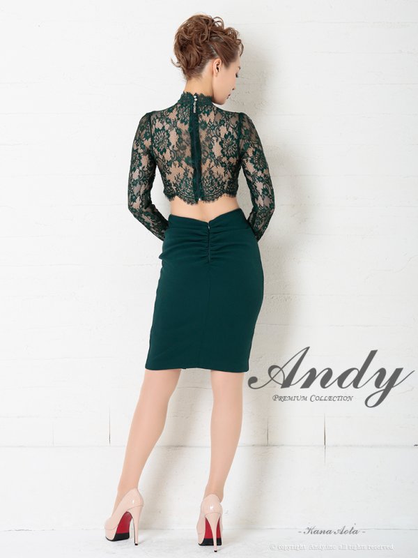 画像4: 【ANDY/アンディ】長袖/レース/ ハイネック/ カットアウト/ スリット/ タイト/ ミニドレス/ キャバドレス[OF05] (4)