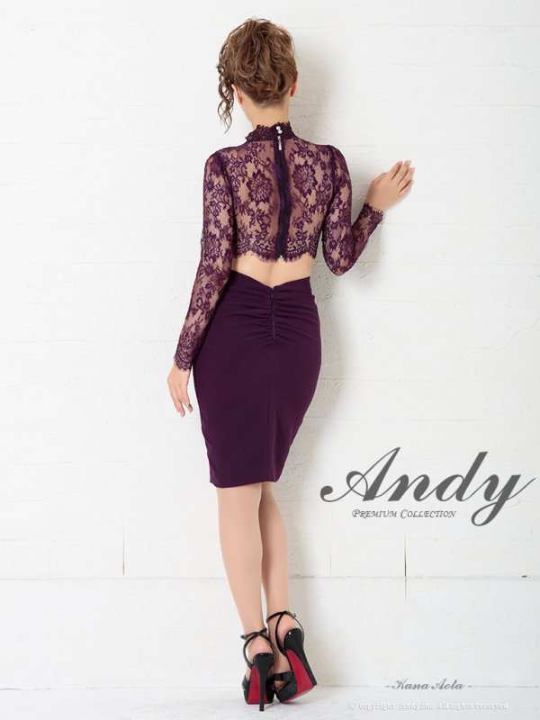 画像31: 【ANDY/アンディ】長袖/レース/ ハイネック/ カットアウト/ スリット/ タイト/ ミニドレス/ キャバドレス[OF05] (31)