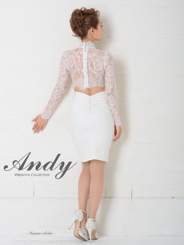 画像13: 【ANDY/アンディ】長袖/レース/ ハイネック/ カットアウト/ スリット/ タイト/ ミニドレス/ キャバドレス[OF05] (13)