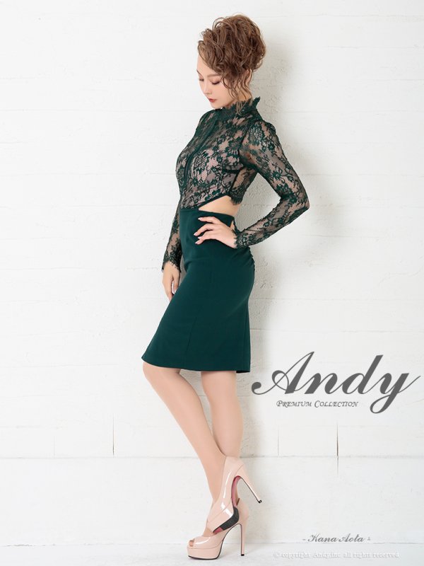 画像3: 【ANDY/アンディ】長袖/レース/ ハイネック/ カットアウト/ スリット/ タイト/ ミニドレス/ キャバドレス[OF05] (3)