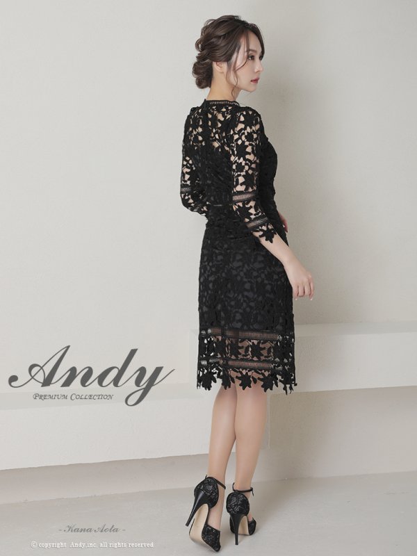 画像4: 【ANDY/アンディ】ワンカラー/ 総ケミカルレース/ 七分袖/ 袖あり/ タイト/ ミディアムドレス/ キャバドレス[FB03] (4)