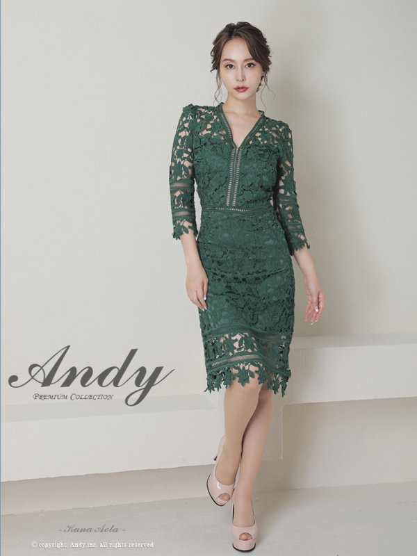 画像26: 【ANDY/アンディ】ワンカラー/ 総ケミカルレース/ 七分袖/ 袖あり/ タイト/ ミディアムドレス/ キャバドレス[FB03] (26)