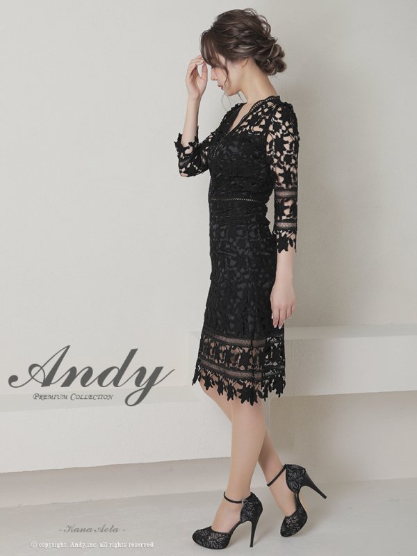 画像3: 【ANDY/アンディ】ワンカラー/ 総ケミカルレース/ 七分袖/ 袖あり/ タイト/ ミディアムドレス/ キャバドレス[FB03] (3)