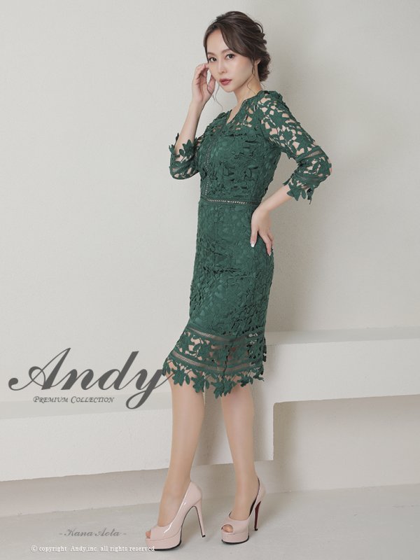 画像27: 【ANDY/アンディ】ワンカラー/ 総ケミカルレース/ 七分袖/ 袖あり/ タイト/ ミディアムドレス/ キャバドレス[FB03] (27)