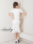 画像4: 【Andy ANDY Fashion Press 15 COLLECTION 01】フラワーレース/ ウエストカット/ 袖あり/ 半袖/ パフスリーブ/ シアー/ タイト/ 膝丈/ ミディアムドレス/ キャバドレス[OF05] (4)