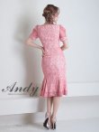 画像13: 【Andy ANDY Fashion Press 15 COLLECTION 01】フラワーレース/ ウエストカット/ 袖あり/ 半袖/ パフスリーブ/ シアー/ タイト/ 膝丈/ ミディアムドレス/ キャバドレス[OF05] (13)