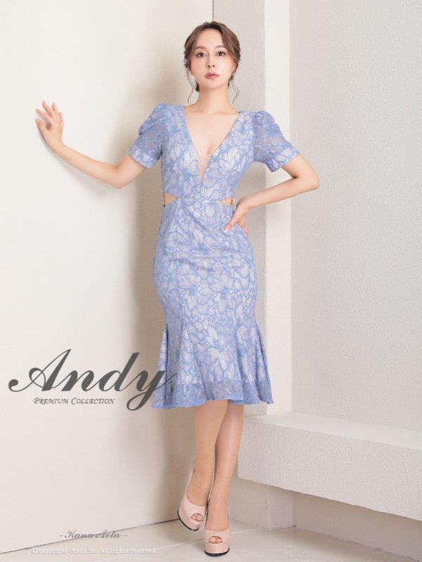 画像9: 【Andy ANDY Fashion Press 15 COLLECTION 01】フラワーレース/ ウエストカット/ 袖あり/ 半袖/ パフスリーブ/ シアー/ タイト/ 膝丈/ ミディアムドレス/ キャバドレス[OF05] (9)