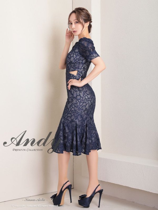 画像3: 【Andy ANDY Fashion Press 15 COLLECTION 01】フラワーレース/ ウエストカット/ 袖あり/ 半袖/ パフスリーブ/ シアー/ タイト/ 膝丈/ ミディアムドレス/ キャバドレス[OF05] (3)
