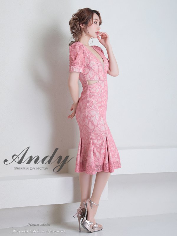 画像27: 【Andy ANDY Fashion Press 15 COLLECTION 01】フラワーレース/ ウエストカット/ 袖あり/ 半袖/ パフスリーブ/ シアー/ タイト/ 膝丈/ ミディアムドレス/ キャバドレス[OF05] (27)