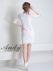 画像14: 【Andy ANDY Fashion Press 15 COLLECTION 05】総レース / 袖あり/ 五分袖/ タイト/ ミニドレス/ キャバドレス[OF05] (14)