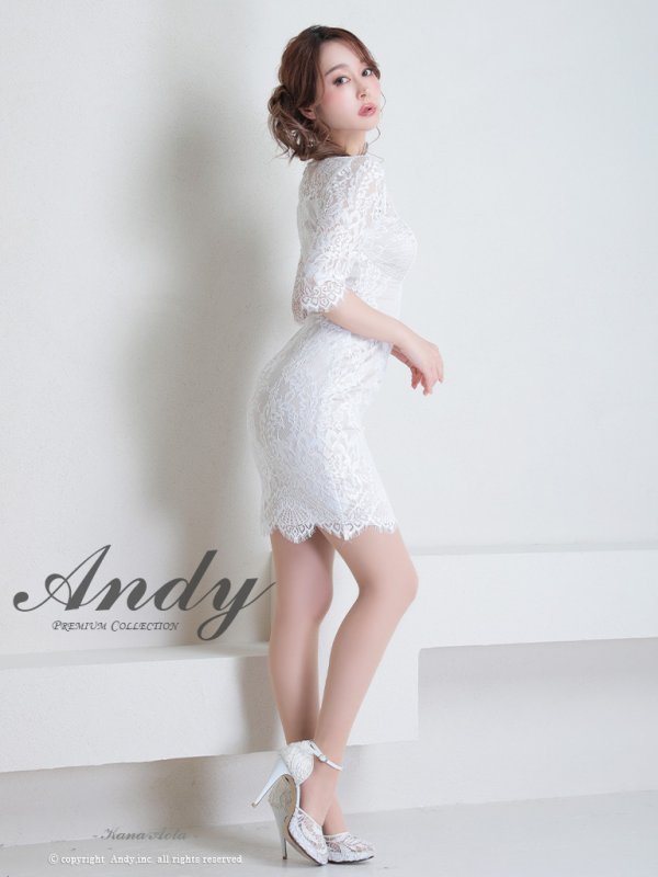 画像4: 【Andy ANDY Fashion Press 15 COLLECTION 05】総レース / 袖あり/ 五分袖/ タイト/ ミニドレス/ キャバドレス[OF05] (4)