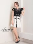 画像2: 【Andy ANDY Fashion Press 16 COLLECTION 05】フラワーレース/ バイカラー/ シアー/ ハイネック/ 台形スカート/ ミニドレス/ キャバドレス[OF05] (2)