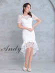 画像2: 【Andy ANDY Fashion Press 16 COLLECTION 06】ドットレース/ シアー/ 半袖/ 袖あり/ テールカット/ フリル/ ミディアムドレス/ キャバドレス[OF05] (2)