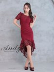 画像10: 【Andy ANDY Fashion Press 16 COLLECTION 06】ドットレース/ シアー/ 半袖/ 袖あり/ テールカット/ フリル/ ミディアムドレス/ キャバドレス[OF05] (10)