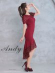 画像18: 【Andy ANDY Fashion Press 16 COLLECTION 06】ドットレース/ シアー/ 半袖/ 袖あり/ テールカット/ フリル/ ミディアムドレス/ キャバドレス[OF05] (18)