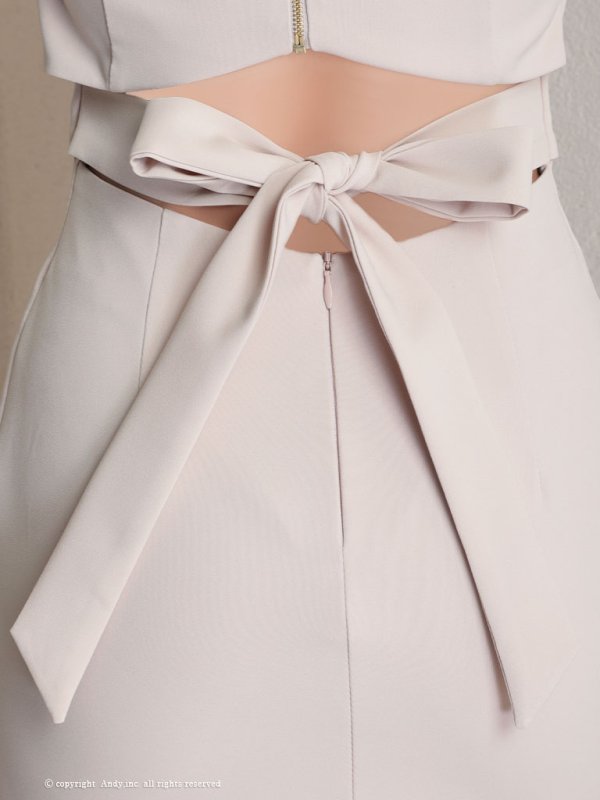 画像26: 【ANDY/アンディ】ワンカラー/ フロントジップ/ 半袖/ 袖あり/ バックリボン/ タイト/ ミニドレス/ キャバドレス[OF05] (26)